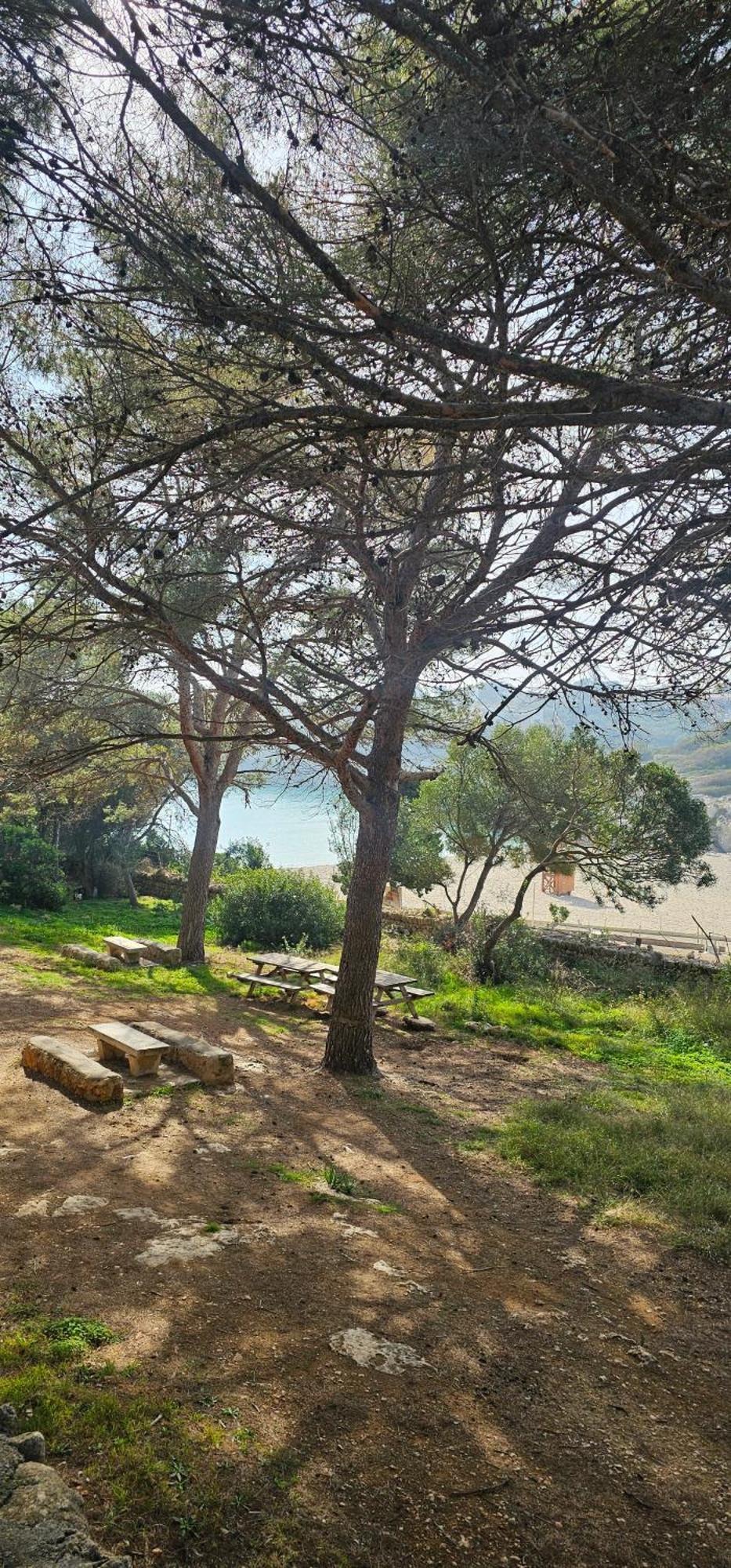 Casa Domingos Cales De Mallorca Exteriör bild